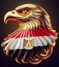الصورة الرمزية CairoSat